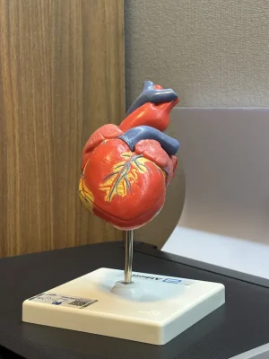 clínica dr fábio giuseppin 11